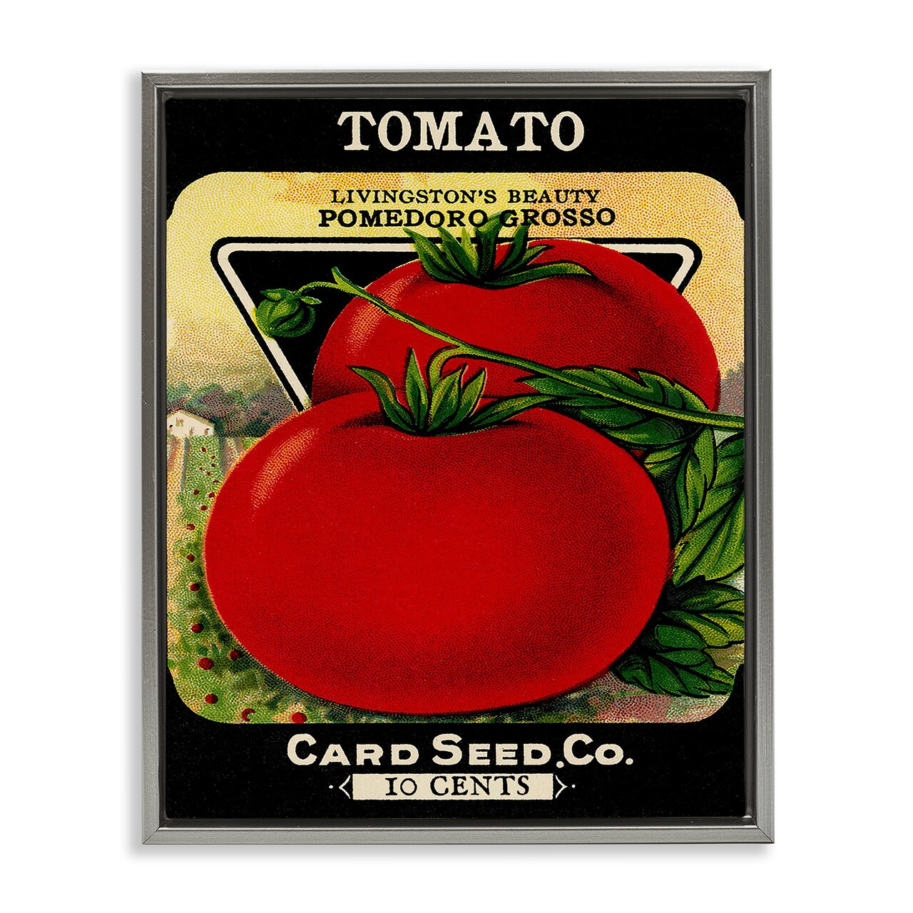 Stupell Industries Vintage Gardening Tomato Floating Frame By Lil' Rue